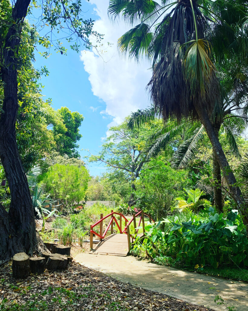 Jardin d'Eden, île de la Réunion