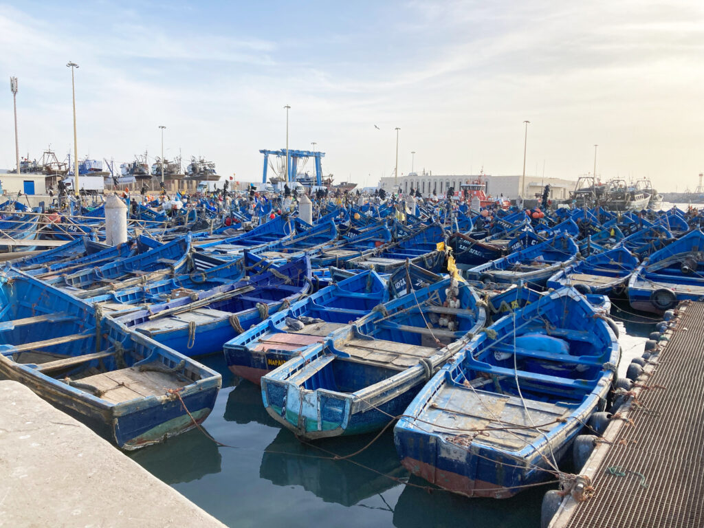 Un week-end à Essaouira: le port