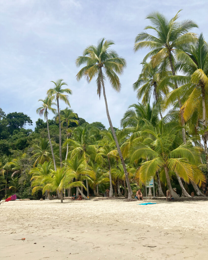 Voyage au Panama : Isla Coiba